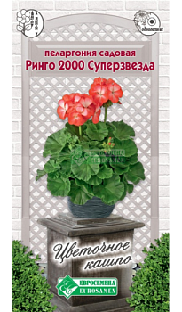 Пеларгония Ринго 2000 Супер Звезда садовая (3шт) Евросемена/10