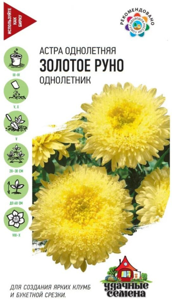 Астра Золотое руно