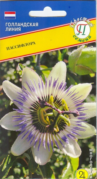 Пассифлора