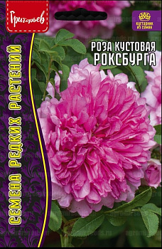 Роза Роксбурга микс (10шт) Редкие овощи/10