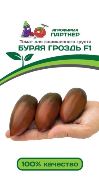 Томат бурая гроздь