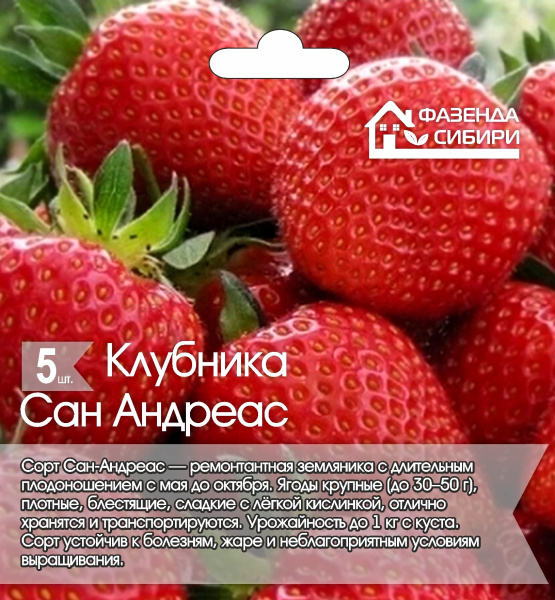 Сан Андреас