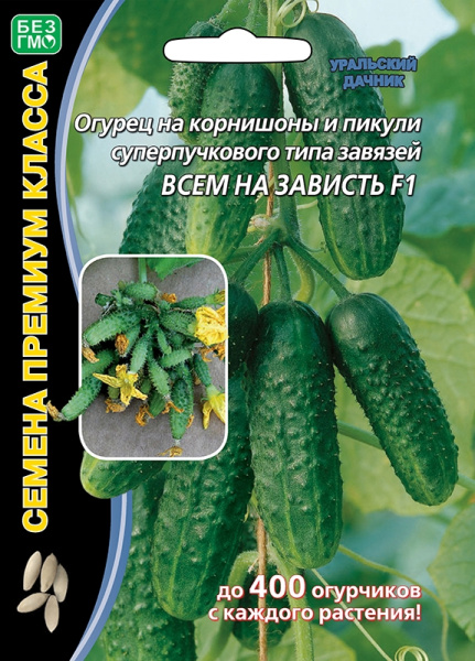 ogurec-na-kornishon-i-pikuli-superpuchkovogo-tipa-zavyazey-vsem-na-zavist-f1