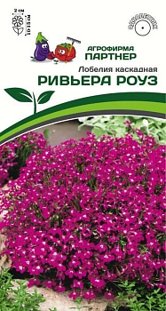 Лобелия Ривьера Ривьера Роуз каскад. (10шт) Партнер/10