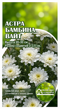 Астра Бамбина Вайт (10шт) Фазенда Сибири/10