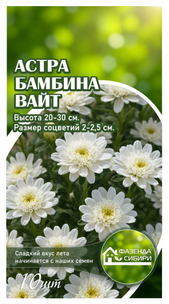 Астра Бамбина Вайт