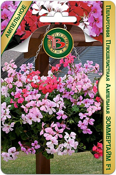 Пеларгония Зоммертайм F1 амп (5шт) Биотехника/10