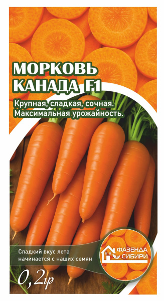 Морковь канада