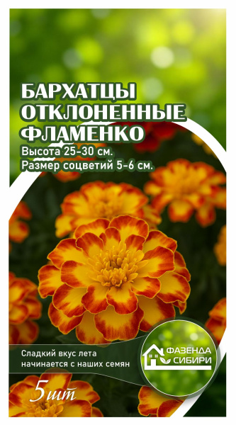 Бархатцы отклоненные Flamenco