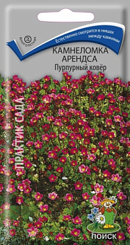 Камнеломка Пурпурный Ковер (0,01г) Поиск/10
