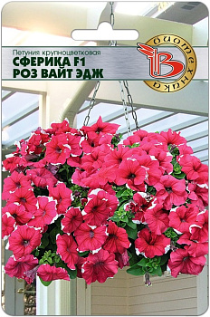 Петуния Сферика Роз Вайт Эдж F1 (10шт) Биотехника/10