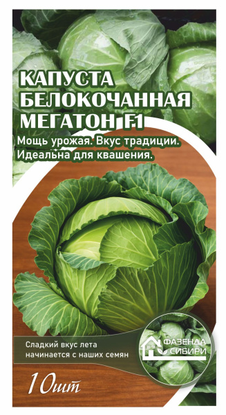 капуста мегатон