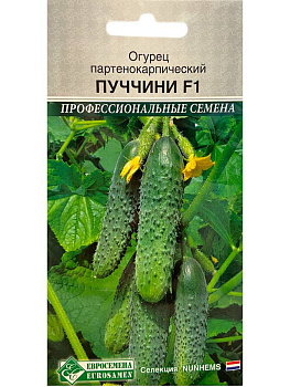 Огурец ПУЧЧИНИ F1 (8 шт) Rijk Zwaan Евросемена/10