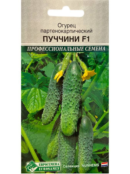 ЦБ-00000972_1