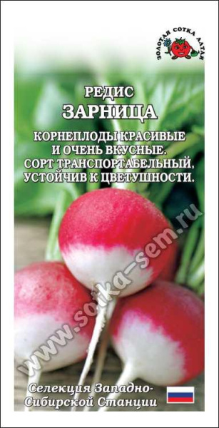 Зарница