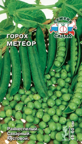gorokh_meteor