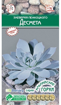 Эхеверия Пеакоцкого ДЕСМЕТА (5шт) Евросемена/10