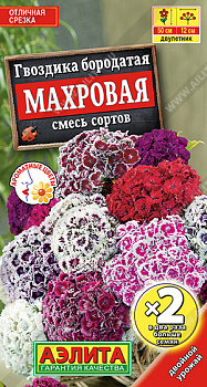 Гвоздика турецкая Махровая, смесь х2 (0,2г) Аэлита/10