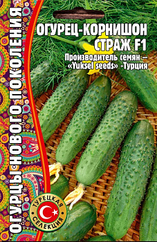 Огурец Страж (6шт) Редкие овощи/10