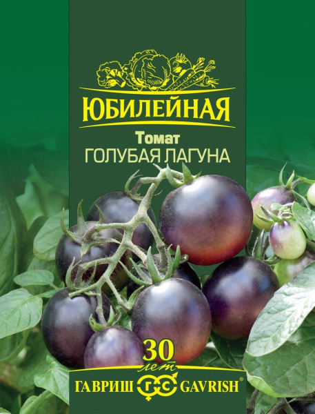 Томат Голубая лагуна
