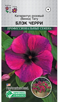 Катарантус розовый (Винка) ТАТУ БЛЭК ЧЕРРИ (5шт)/PanAm  Seeds/Евросемена10