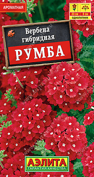 Вербена Румба (30шт) Аэлита/10