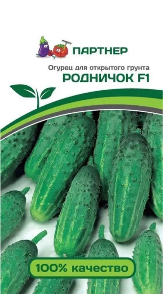 Огурец  Родничок