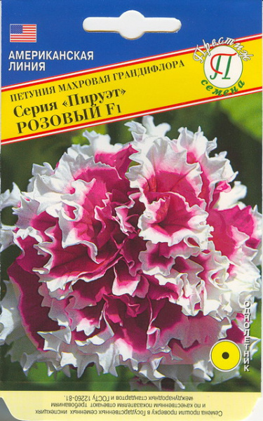 Пируэт