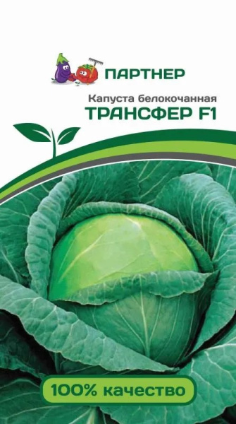 Капуста бк трансфер
