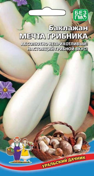 baklazhan-mechta-gribnika