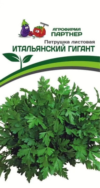 Петрушка итальянский гигант