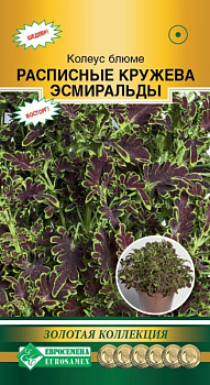 Колеус Расписные Кружева Эсмиральды (10др) Евросемена/10