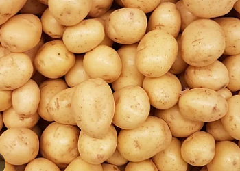 Картофель семенной "Гала" (раннеспелый столовый желтый сорт) 2 кг (+/- 5%), цена за 2 кг.