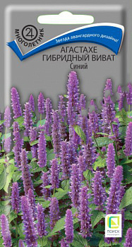Агастахе гибридный (Лофант) Виват Синий (10шт) Поиск/10