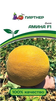 Дыня Амина F1 (5шт) Партнер/10