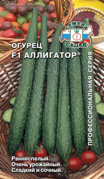 ogurets_alligator_f1