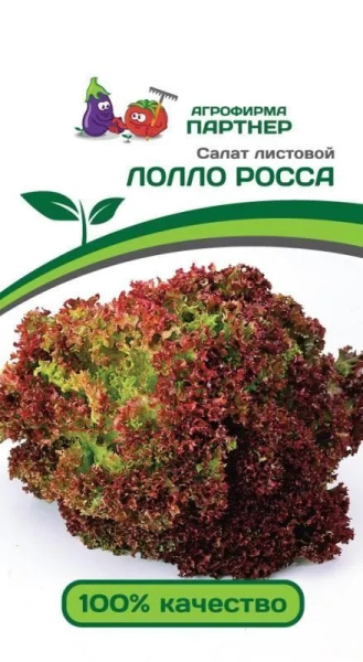 Салат лолло росса