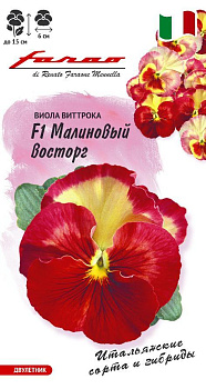 Виола Малиновый восторг F1 (5шт) Гавриш/10