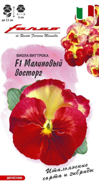 Виола  Малиновый восторг