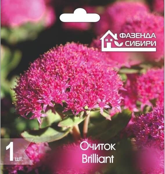 Очиток Brilliant I