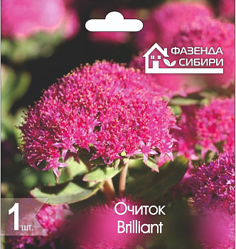  Очиток Бриллиант/Brilliant (1шт) Фазенда Сибири