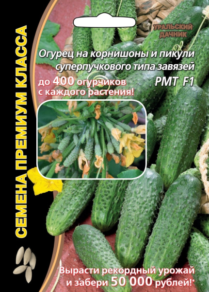 ogurec-na-kornishon-i-pikuli-superpuchkovogo-tipa-zavyazey-rmt-f1
