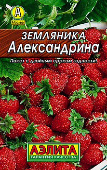 Земляника Александрина (0,04г) Лидер Аэлита/10