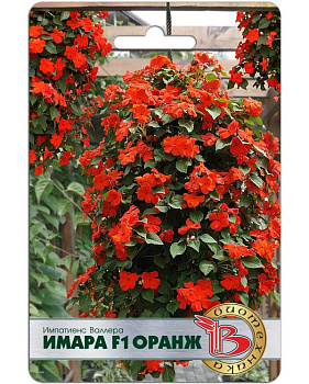 Бальзамин/импатиенс Имара F1 Оранж (8шт) Биотехника/10