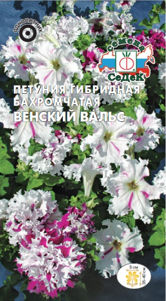 petuniya_venskiy_vals