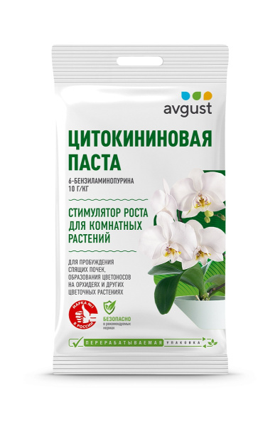 Почкорост