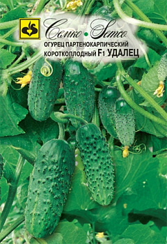 Огурец Удалец F1 (10шт) Семко/10