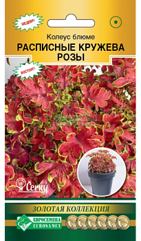 Колеус Расписные Кружева Розы блюме (10др) Евросемена/10
