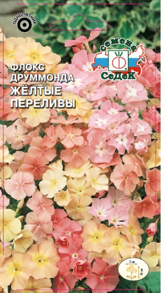 floks_drummonda_zheltye_perelivy_nizkoroslyy