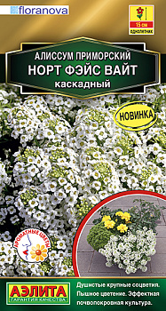 Алиссум Норт фэйс вайт каскадный (10шт) Аэлита/10